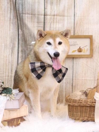 20241029こはるちゃん